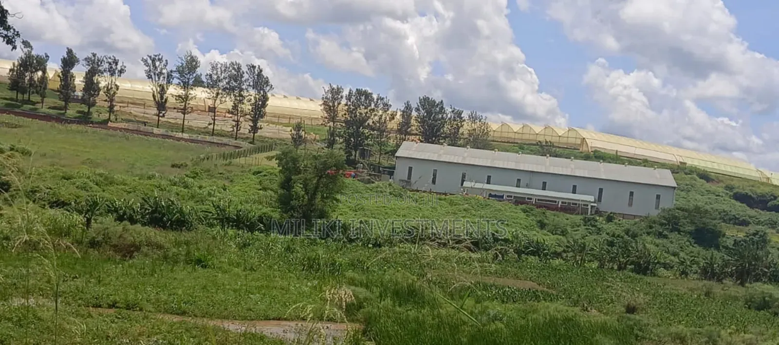 225 Acres on Sale at Thika Near Delmonte