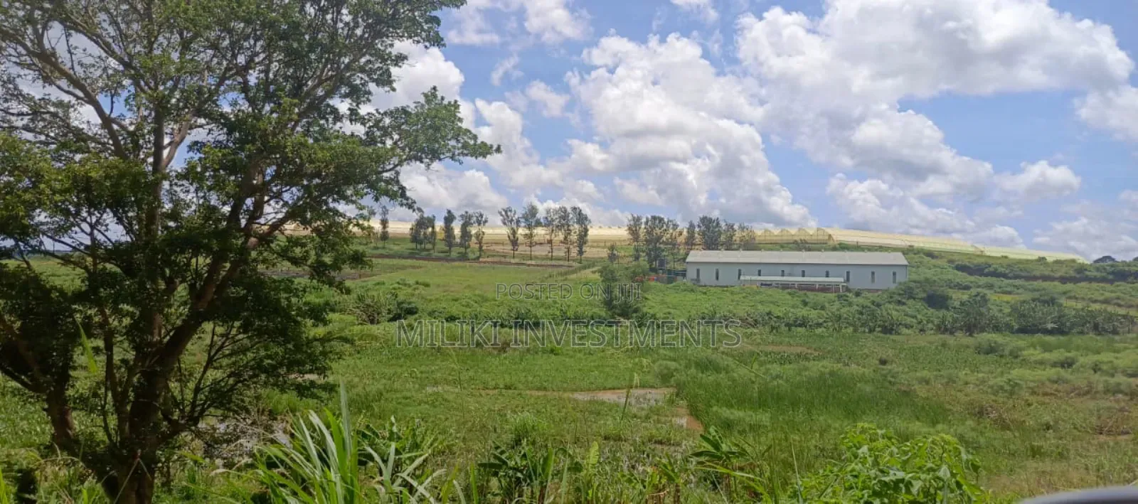 225 Acres on Sale at Thika Near Delmonte