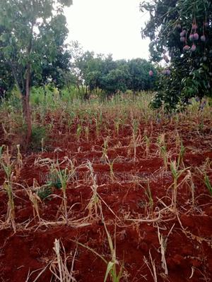 4 Acres of Land on Sale at Makuyu-Murang'A - thumbnail 2