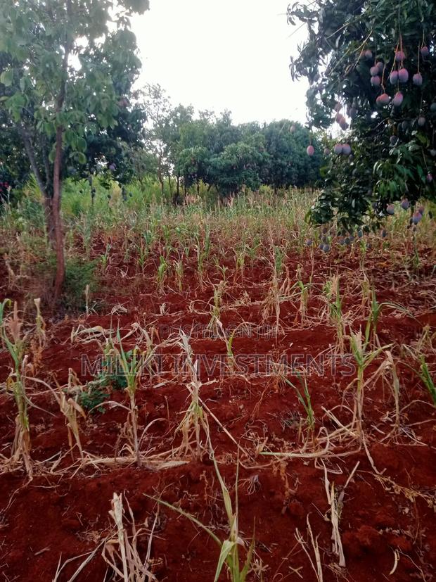 4 Acres of Land on Sale at Makuyu-Murang'A - main view