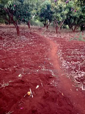 4 Acres of Land on Sale at Makuyu-Murang'A