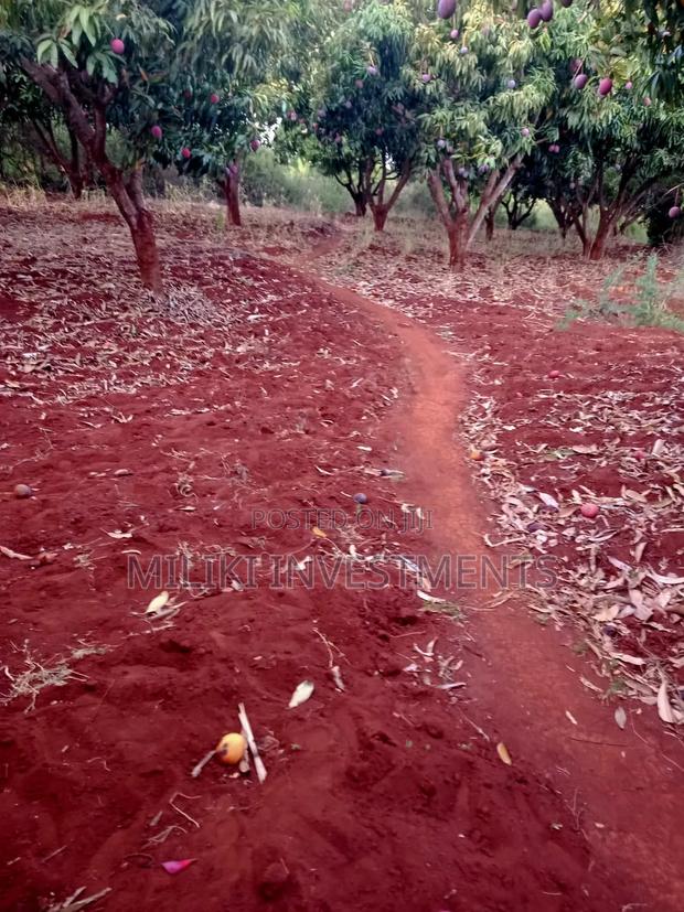 4 Acres of Land on Sale at Makuyu-Murang'A - thumbnail 3