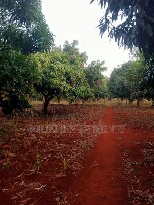 4 Acres of Land on Sale at Makuyu-Murang'A