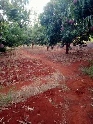 4 Acres of Land on Sale at Makuyu-Murang'A