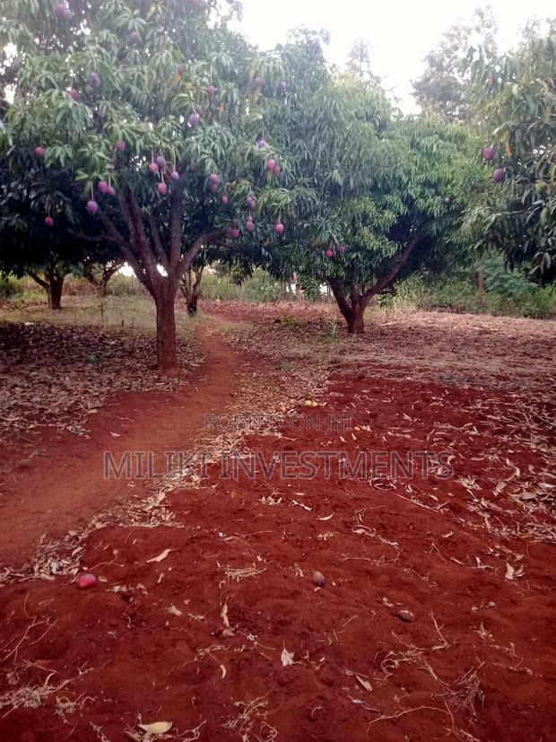 4 Acres of Land on Sale at Makuyu-Murang'A - thumbnail 7