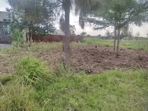 50 by 80 Plot for Sale in Mwihoko by Owner