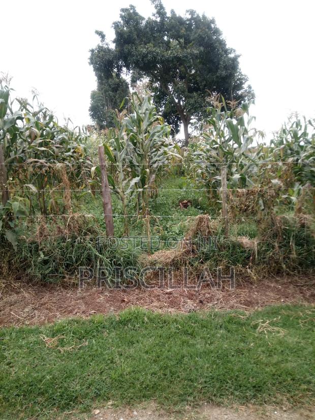 Land for Sale - main view