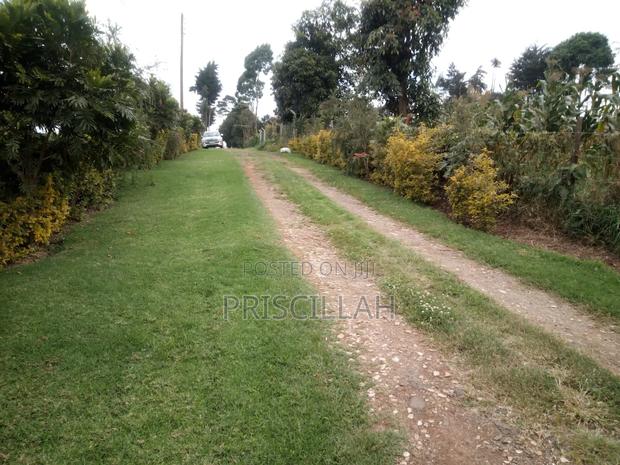 Land for Sale - thumbnail 3