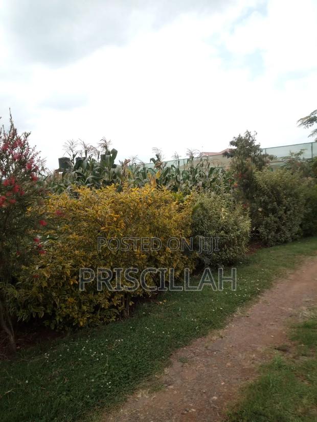 Land for Sale - thumbnail 4