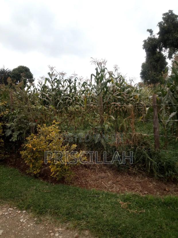 Land for Sale - thumbnail 5