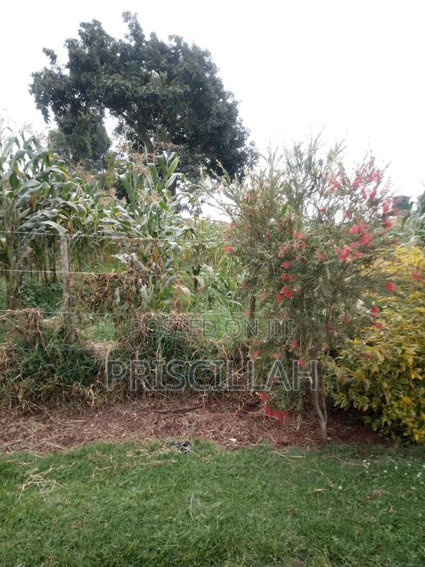 Land for Sale - thumbnail 6