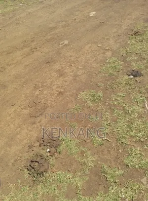 Land 3 Acres