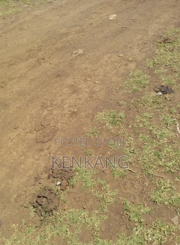 Land 3 Acres - thumbnail 2