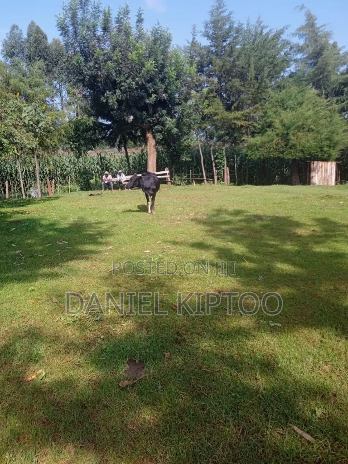 3.5 Acre Residential Land for Sale in Soy