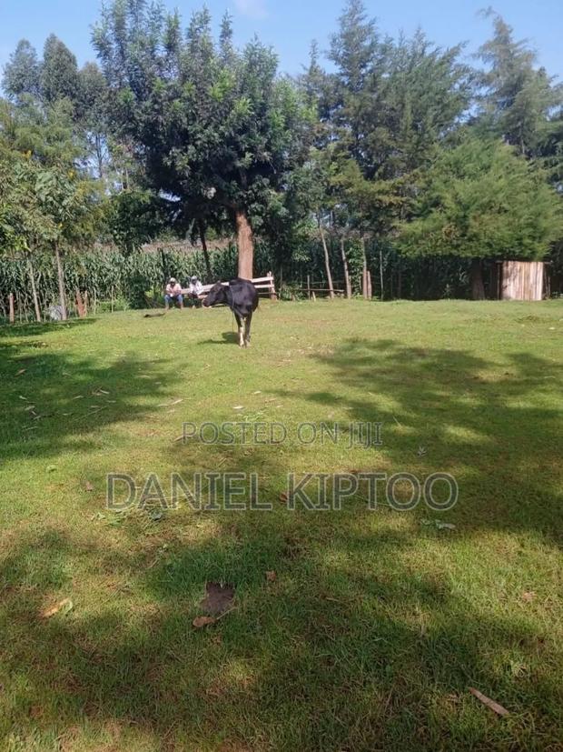 3.5 Acre Residential Land for Sale in Soy