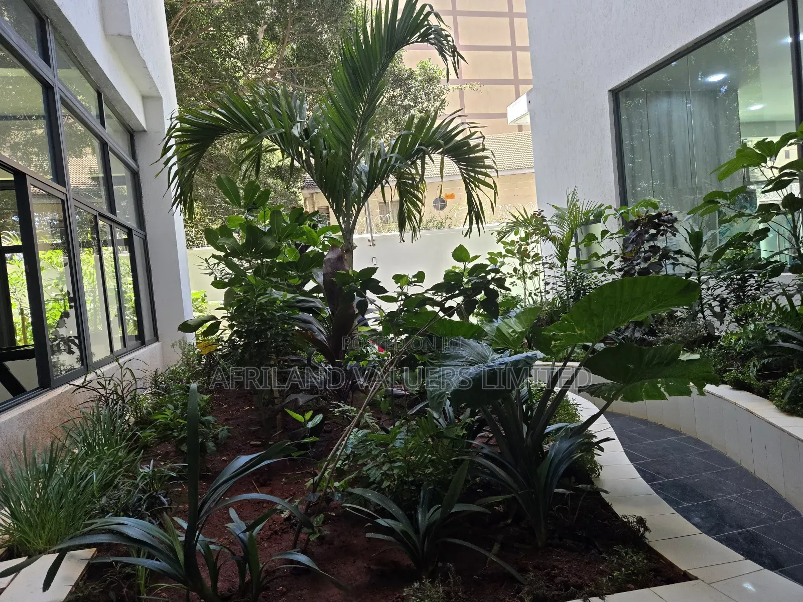 1bdrm Apartment in Kilimani for rent