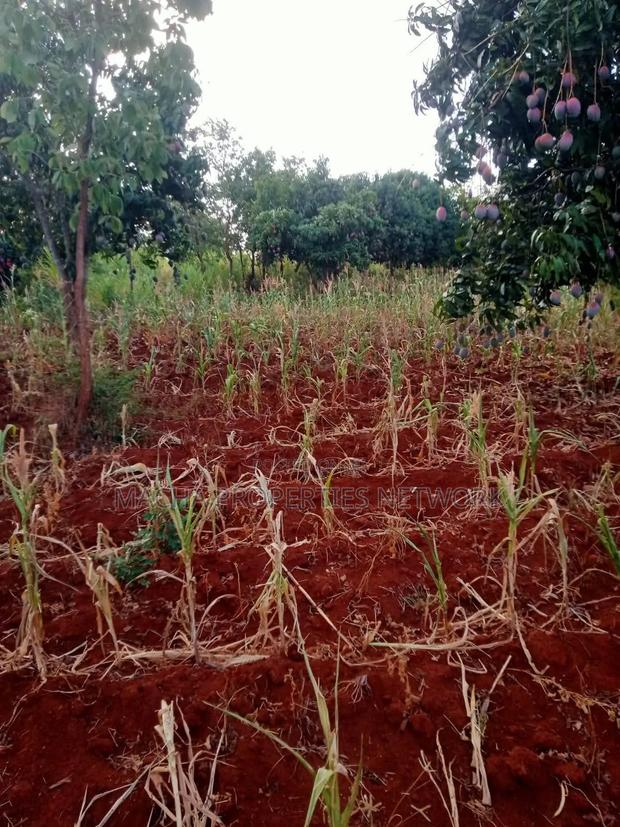 4 Acres Murang'a Makuyu for Sale