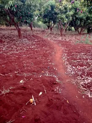 4 Acres Murang'a Makuyu for Sale