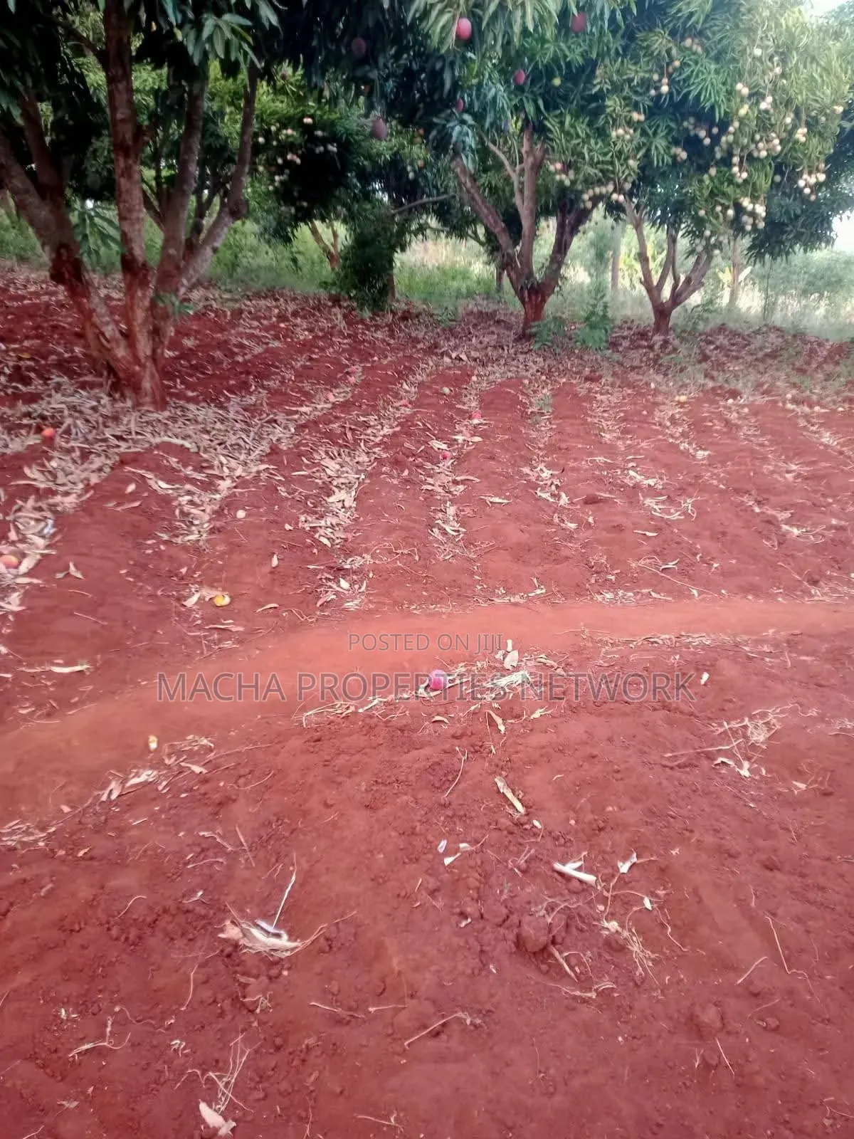 4 Acres Murang'a Makuyu for Sale