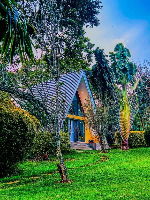 Escape to Nature at Tigoni a-Frame Cottage! - thumbnail 2