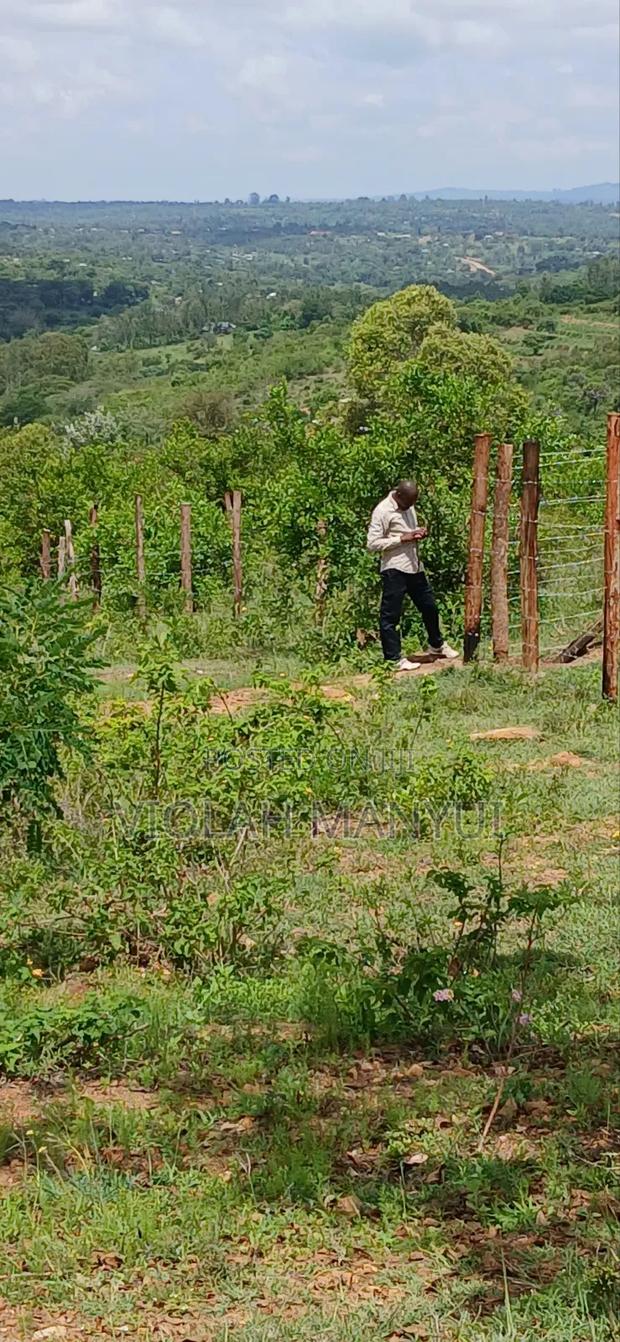 Kilimambogo -Kwa Mwaura - thumbnail 4