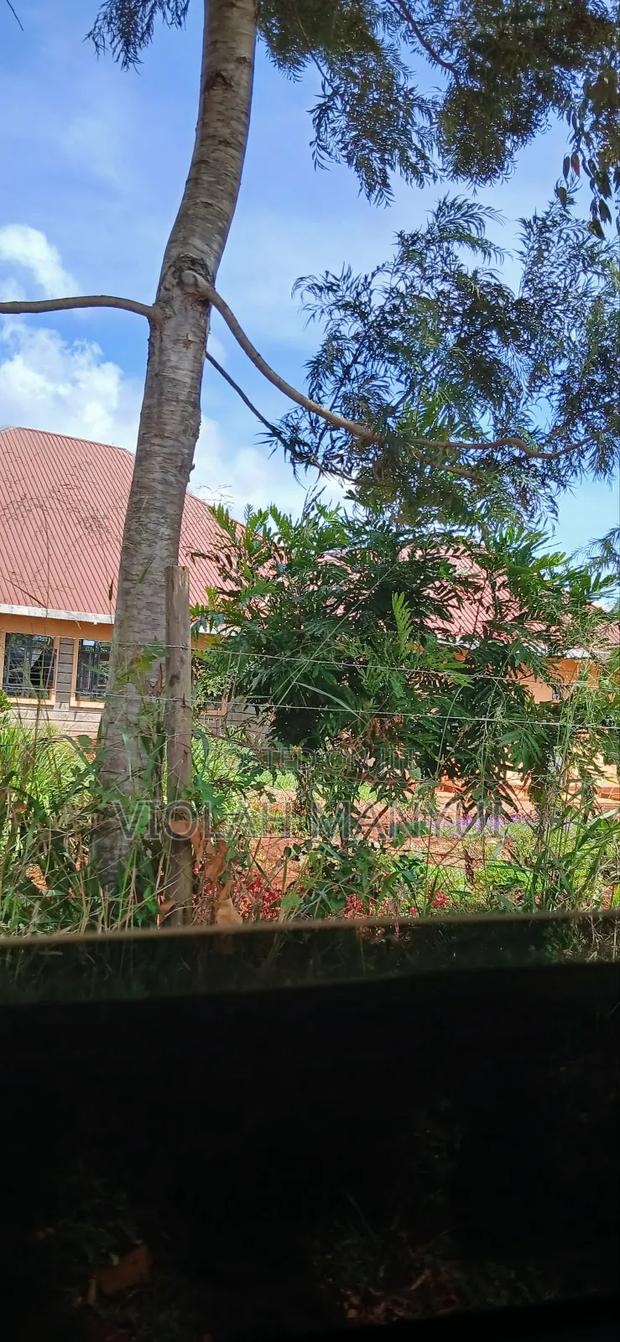 Kilimambogo -Kwa Mwaura - thumbnail 5