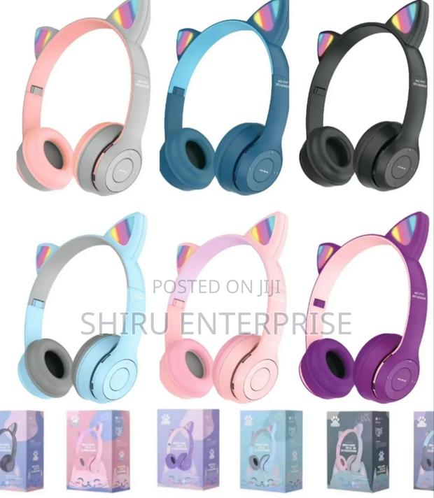 *These Cat Ear Wireless Headphones (Model Viv-23m)