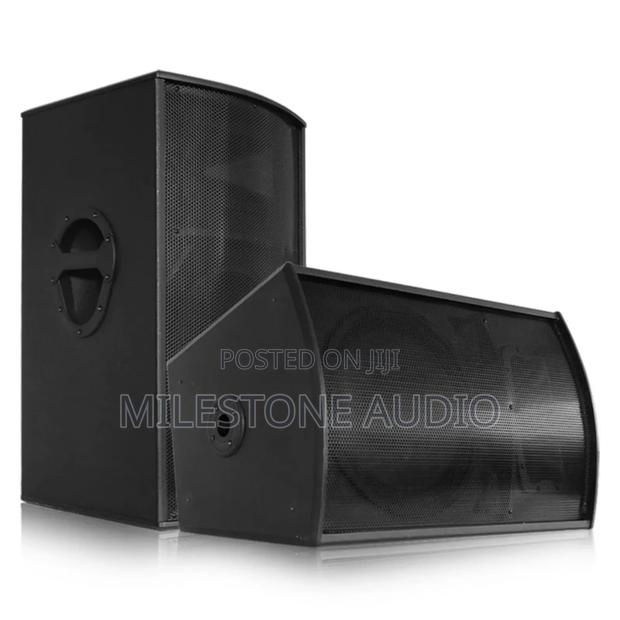 Professional Speaker 12inch