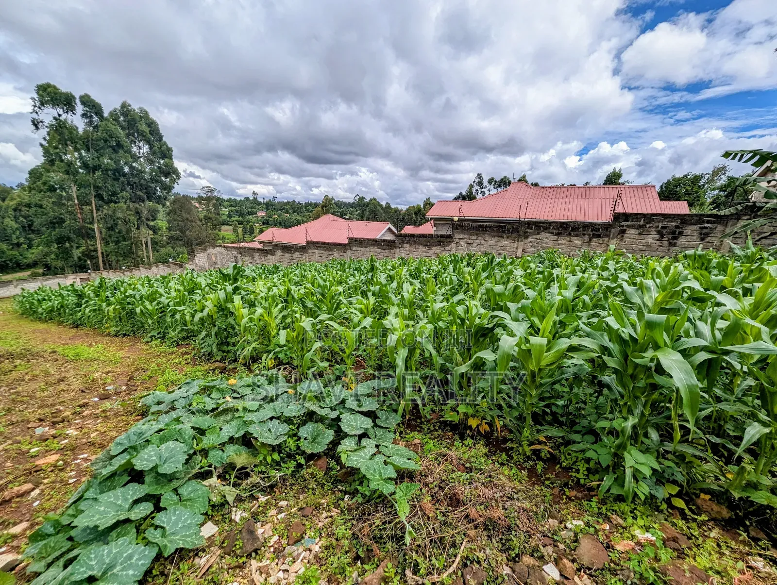 50x100 in a Gated Community for Sale