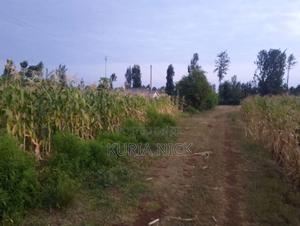 1/4 Acre in Kagio (Kiaga/Gitoo-Ini) - thumbnail 2