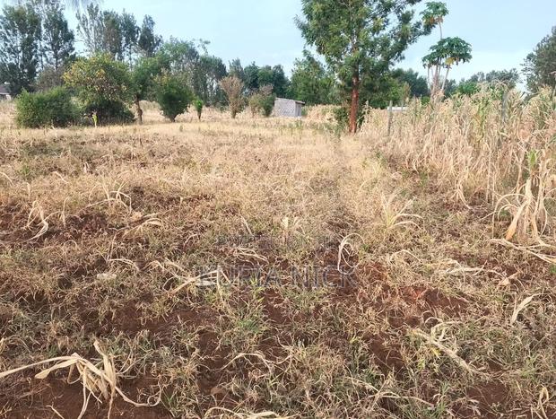 1/4 Acre in Kagio (Kiaga/Gitoo-Ini) - thumbnail 3