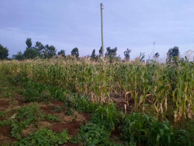 1/4 Acre in Kagio (Kiaga/Gitoo-Ini) - thumbnail 4