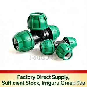 Green Tee Pe