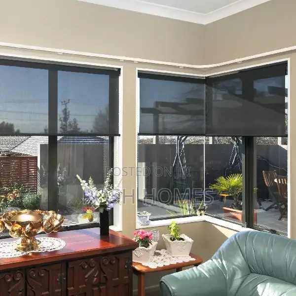 Transparent Solal Horizontal Window Blinds