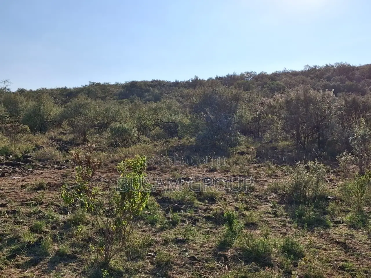 10 Acres for Sale at Ngong Kimuka