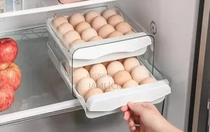 32 Eggs Double Layer Egg Tray –Pm