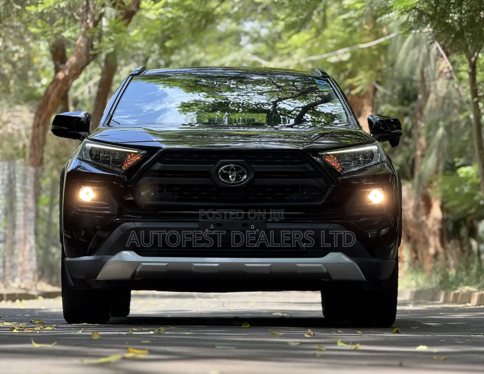 Toyota RAV4 Adventure 2021 Black