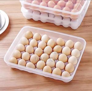 34 Clear Plastic Egg Tray –Bz - main view