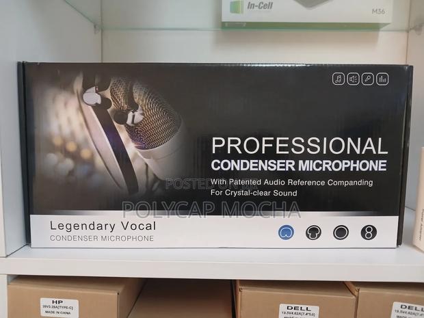 Professional Condenser Microphone - main view