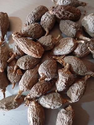 Alligator Pepper - main view