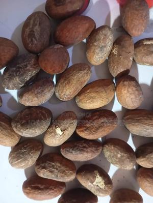 Bitter Cola - main view