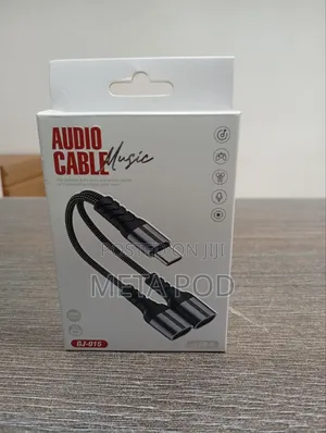 Type C to Type C 2 in 1 Adapter