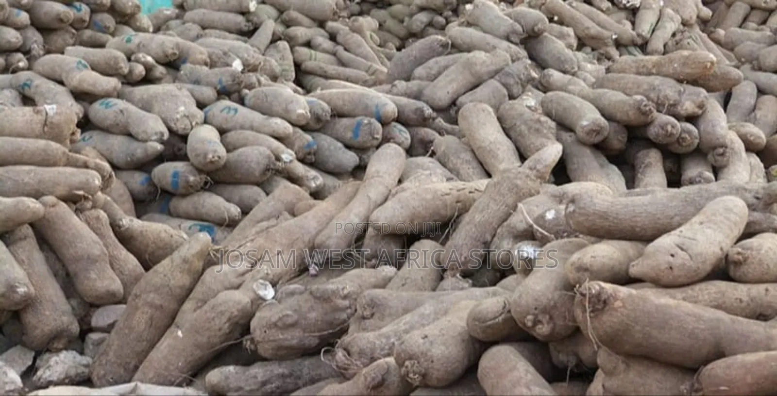 Yams (West Africa)