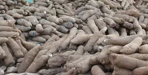 Yams (West Africa)