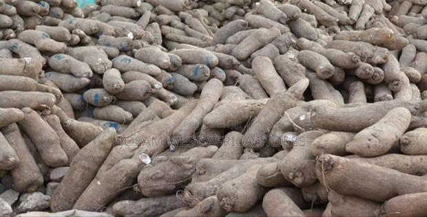 Yams (West Africa)