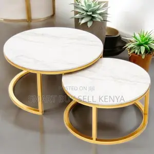 Marble Nesting Tables With Gold Finish Ideal for Living Room Styling