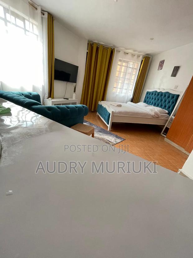 Warm Studio Airbnb TRM Drive Roysambu Thika Road - thumbnail 4