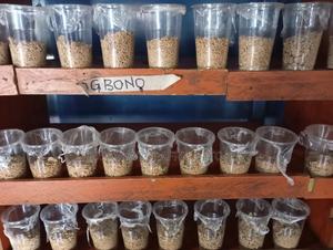 Ground Ogbono Pack - main view