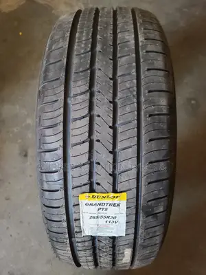 265/55 R20 Dunlop Tyres Grandtrek Pt5 113v