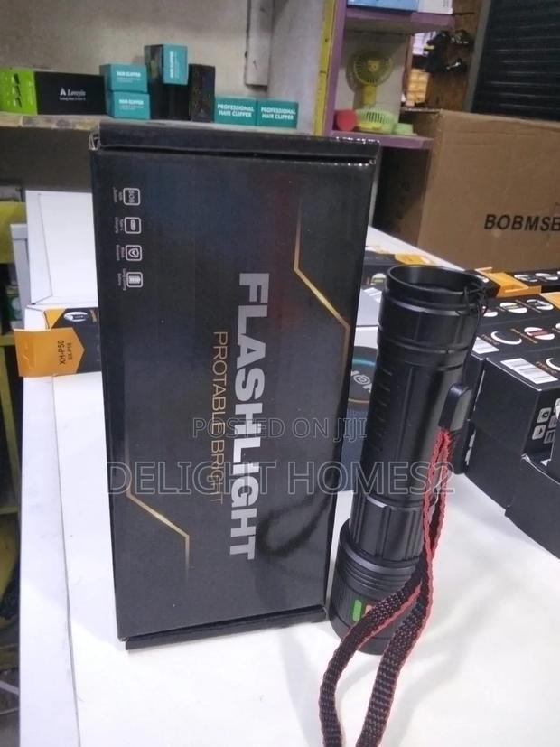 Portable Flashlight_t - main view